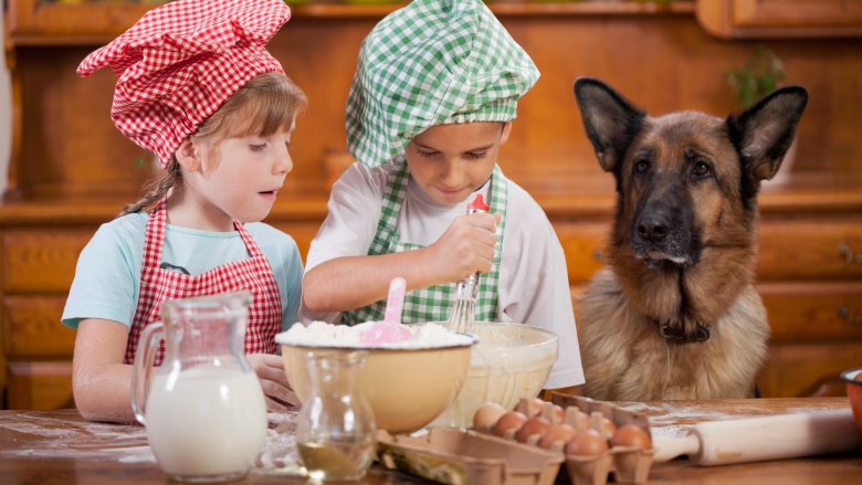 baking with pup