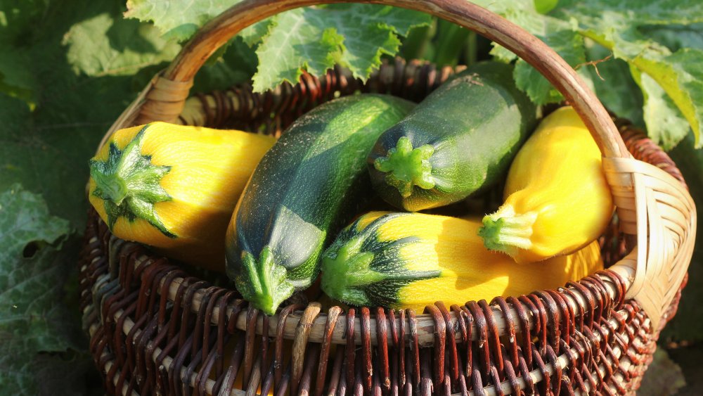 Zucchini and summer squash in basket