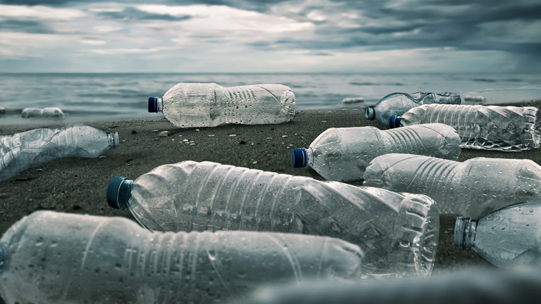 empty plastic water bottles on a beach