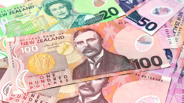 New Zealand cash