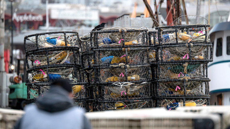 Stacked crab pots on boat