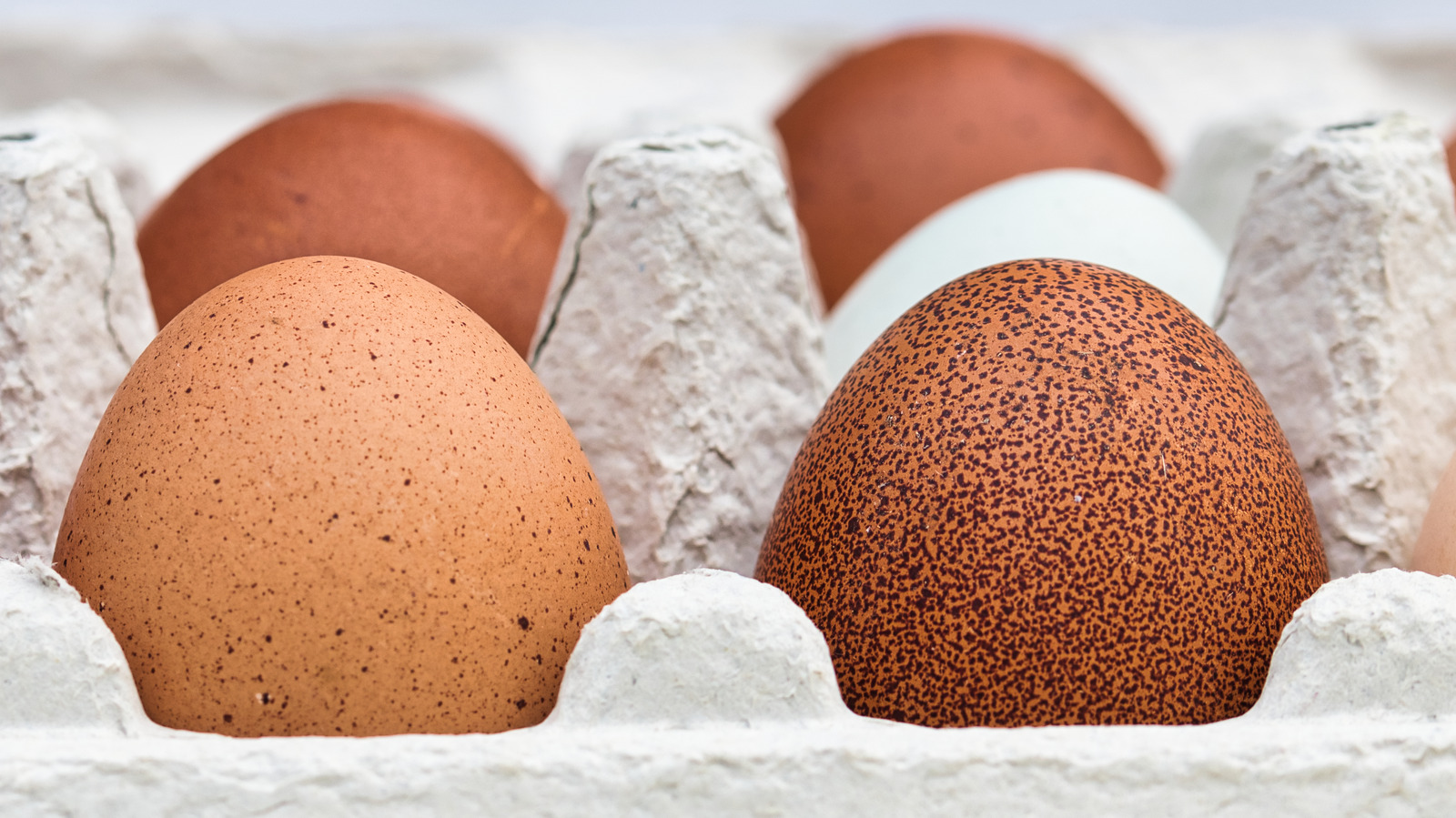 The Real Reason Eggshells Are Sometimes Spotted