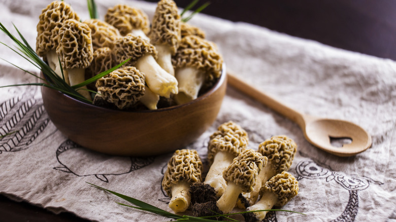 Morel Mushrooms in the kitchen