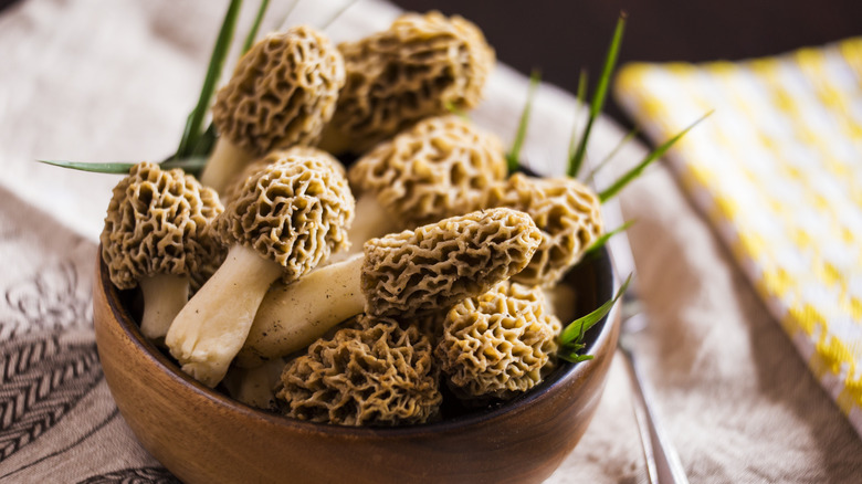 Yellow cap morel mushrooms in a bowl