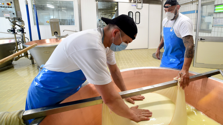 Process of making Parmesan cheese