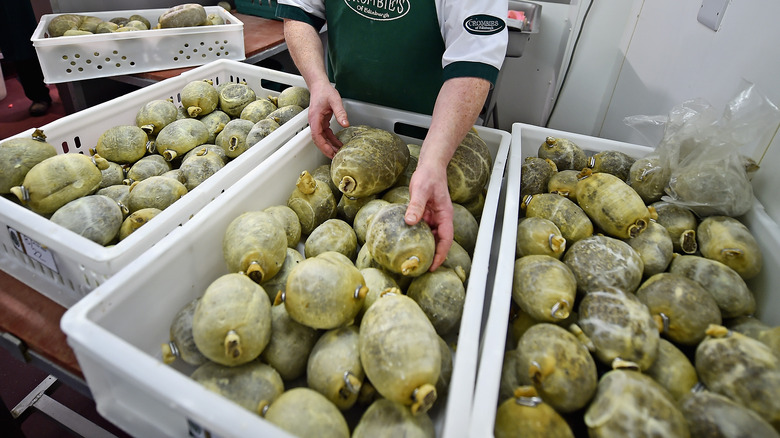 butcher prepares baskets of haggis