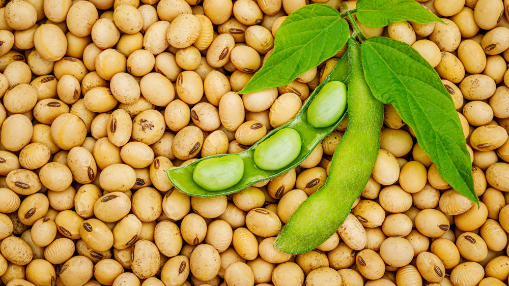 Soybeans