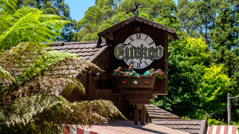 The Cuckoo restaurant sign