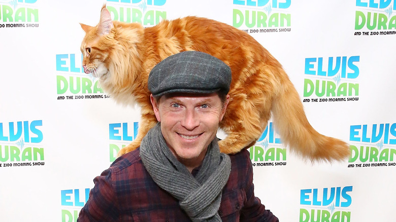 Bobby Flay with cat Nacho