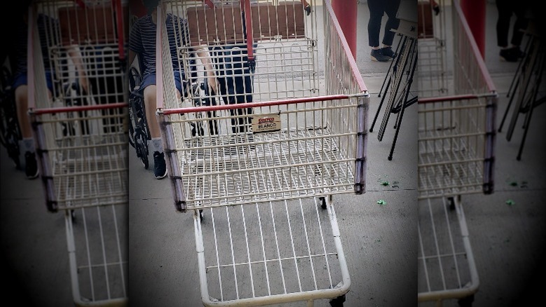 The Real Reason This Costco Shopping Cart Has Its Own Facebook Page