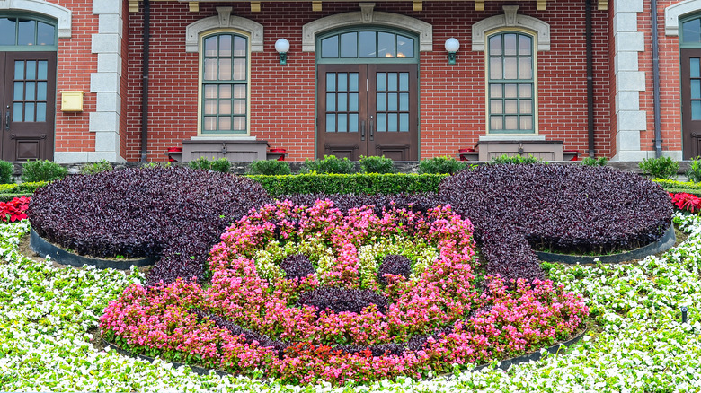 Mickey Mouse garden at Disneyland