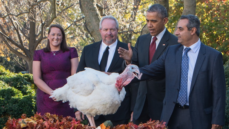 Obama pardoning a turkey