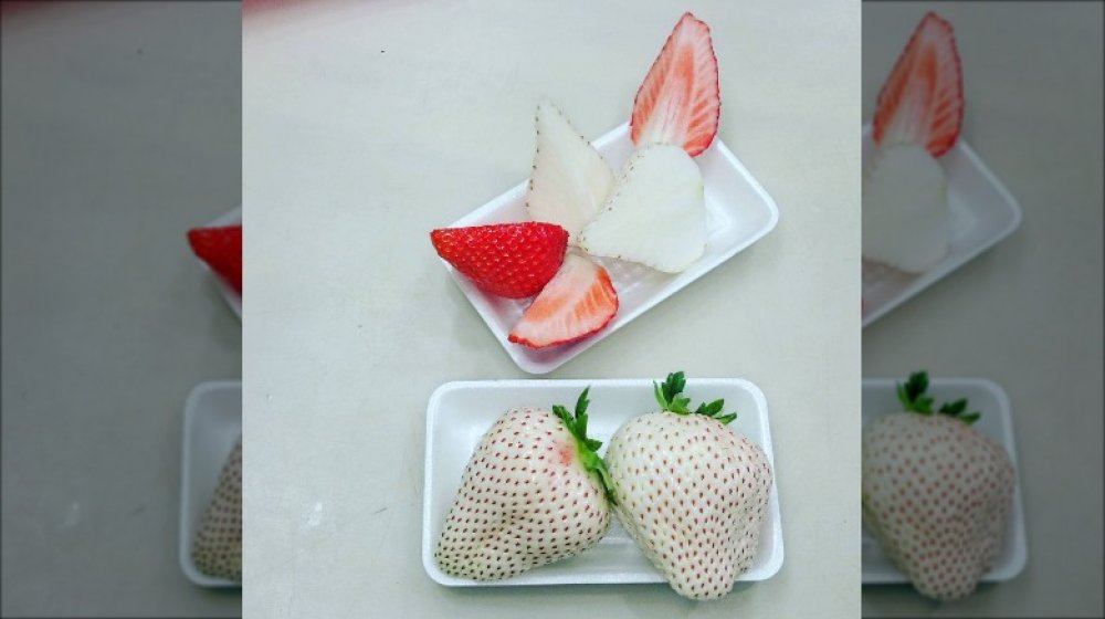 The Real Reason White Strawberries Are So Expensive