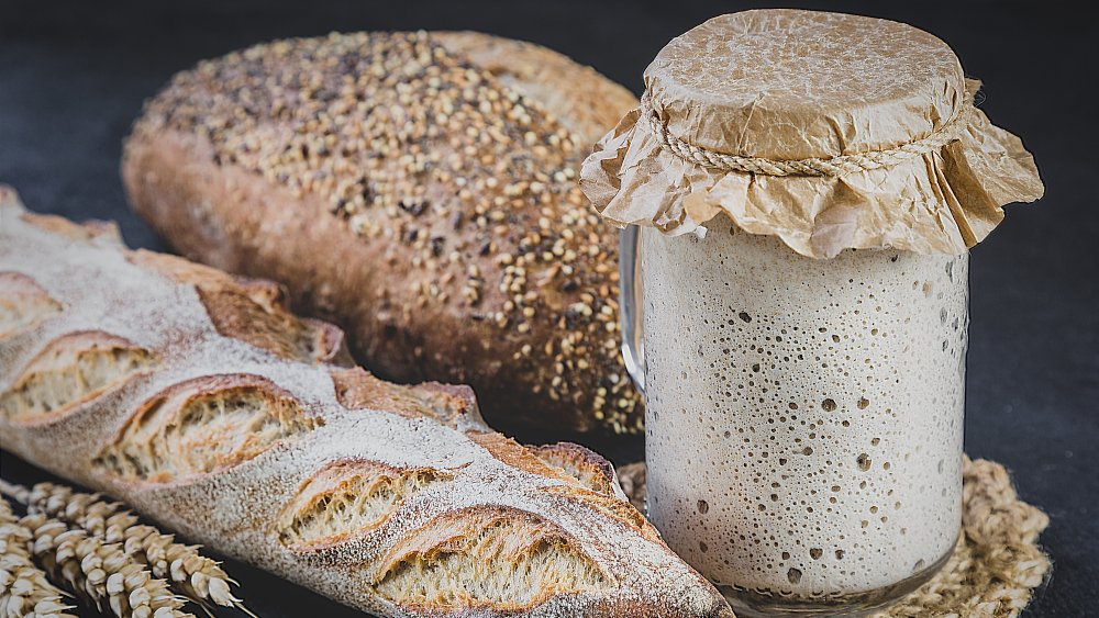 sourdough starter and bread