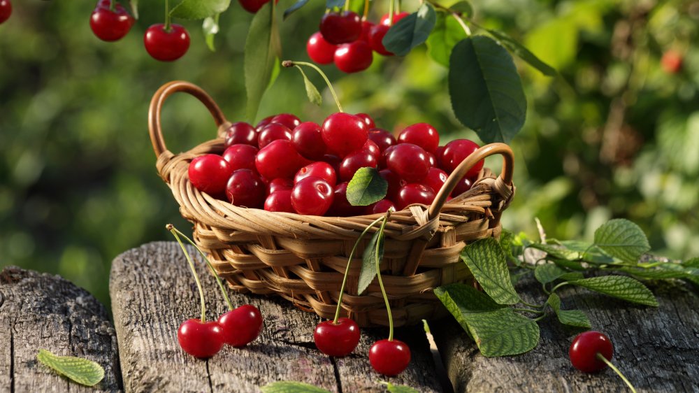 The Real Reason You Should Stop Eating Cherries