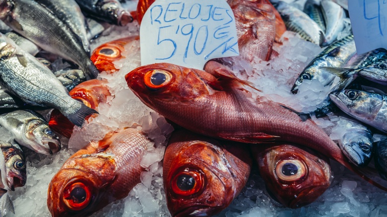 Orange roughy