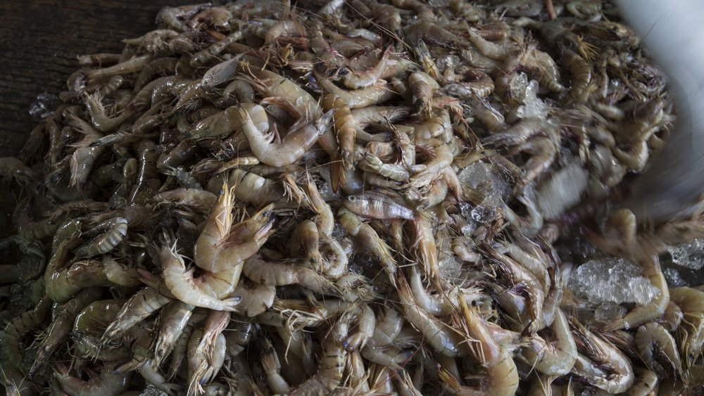 Raw shrimp from Thailand