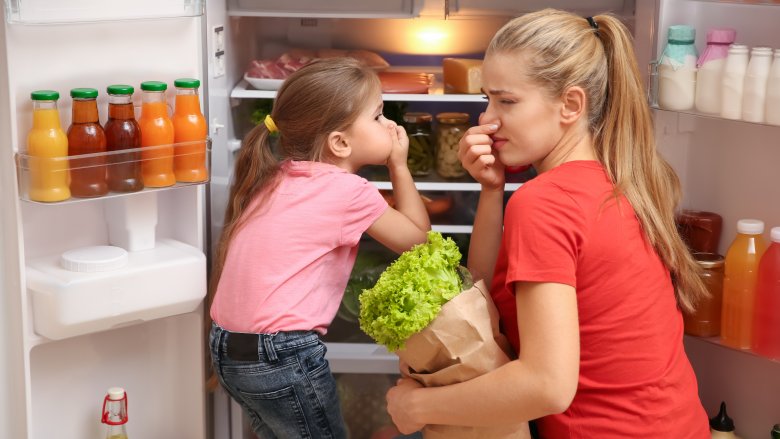 smelly refrigerator