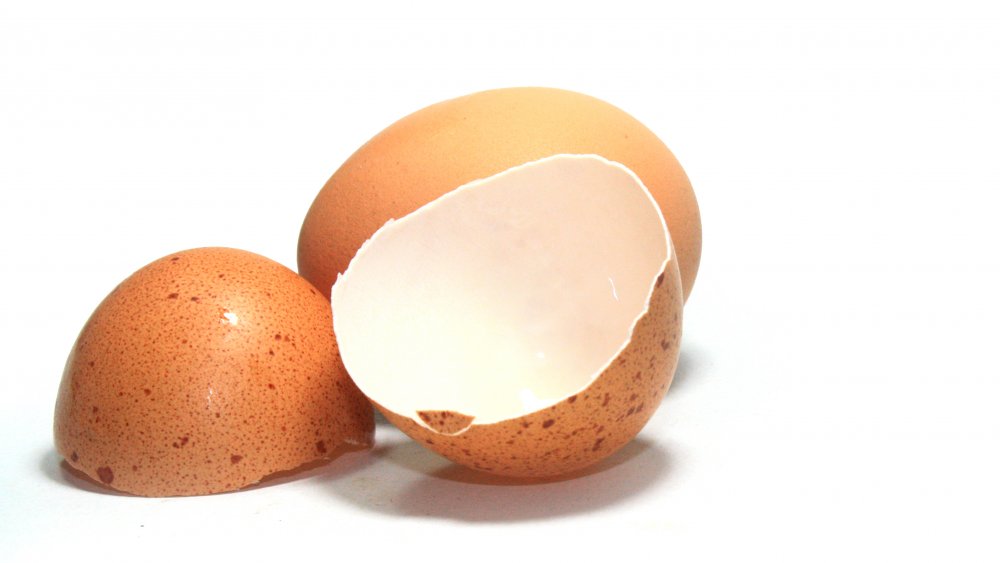 eggshells