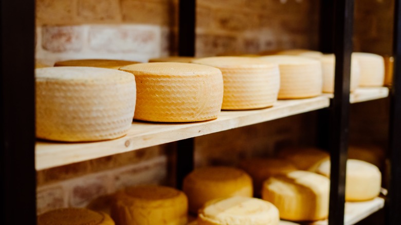 Shelves of cheese wheels