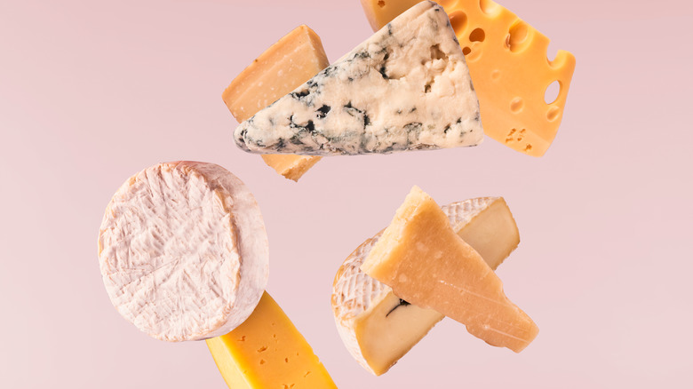 Types of cheeses