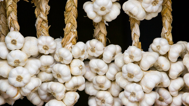 Hanging garlic