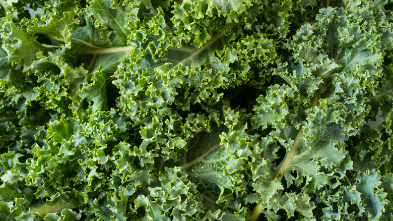 Kale leaves