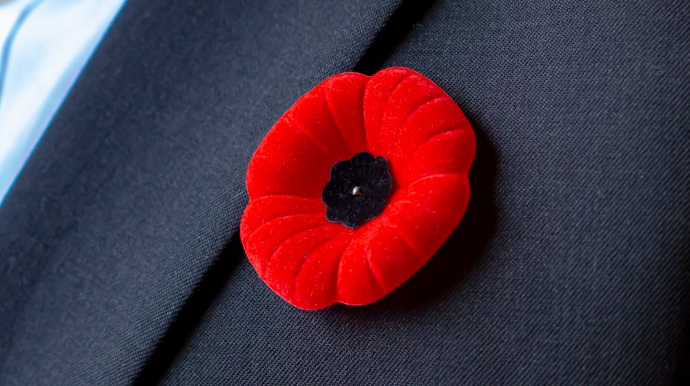 Remembrance Day red poppy on a lapel
