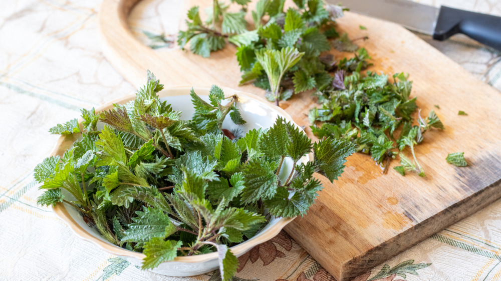 Stinging nettle in a bowl and chopped nettle leaves