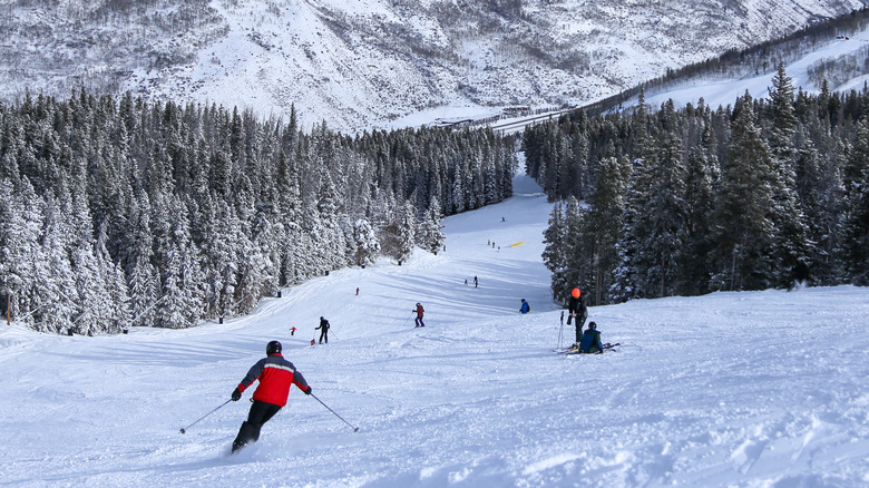 skiing in Vail