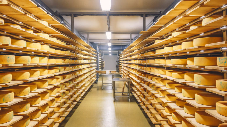 Warehouse shelves filled with cheese