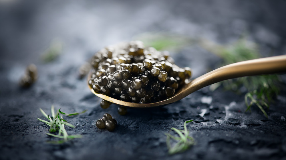 Black caviar on a spoon