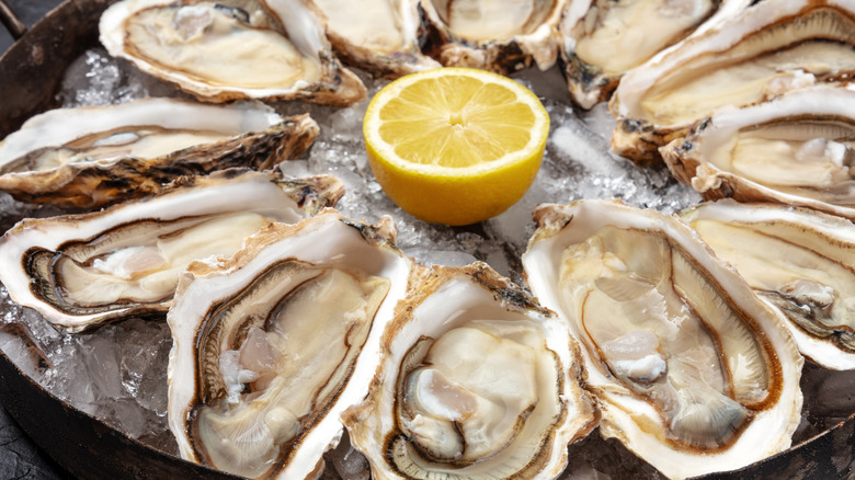 platter of oysters with lemon