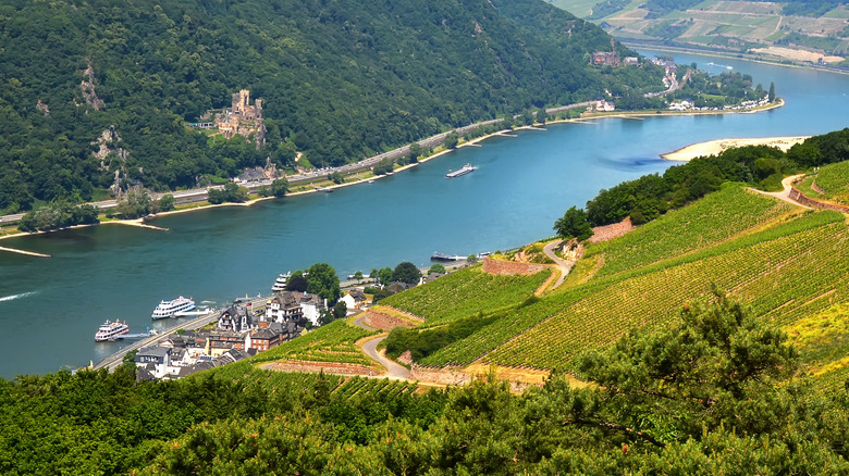 Rhine River with cruise ships in water