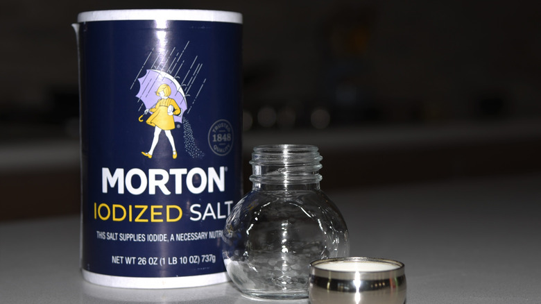 Morton Salt and salt shaker