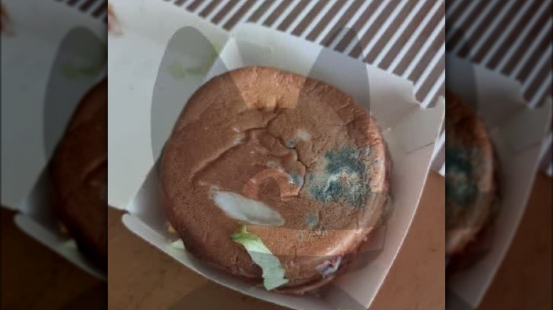 moldy burger bun 