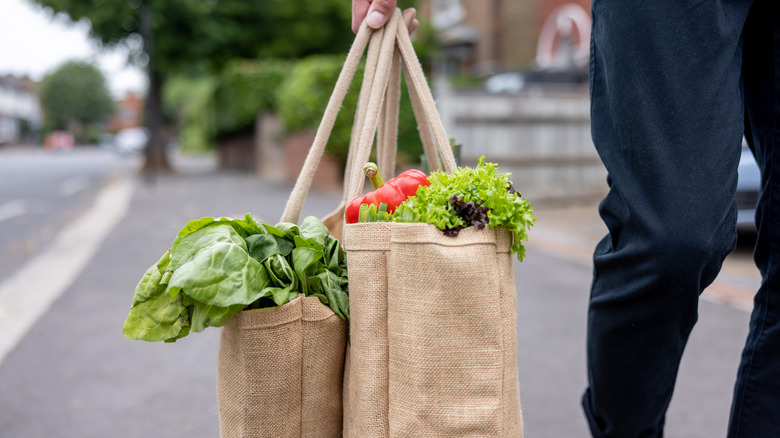 shopper carrying canvas grocery bags