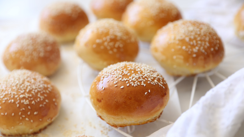 fresh hamburger buns  