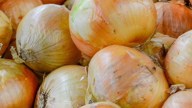 Vidalia onions