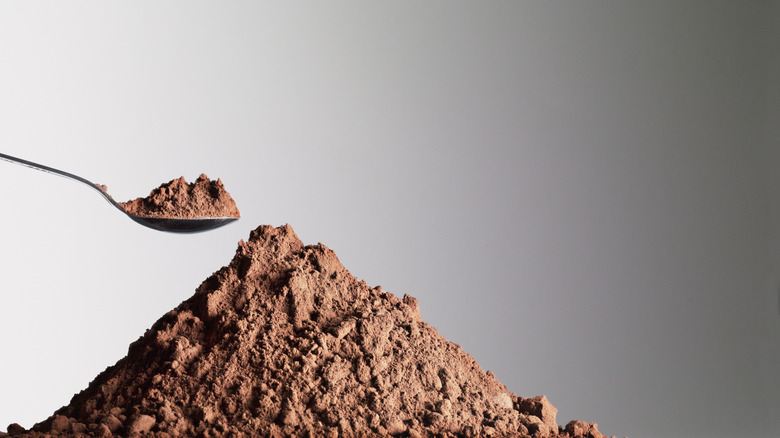 A heap of cocoa powder under a spoon