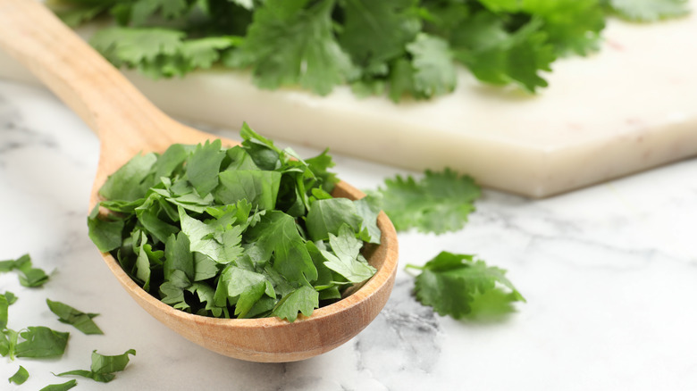 Chopped cilantro