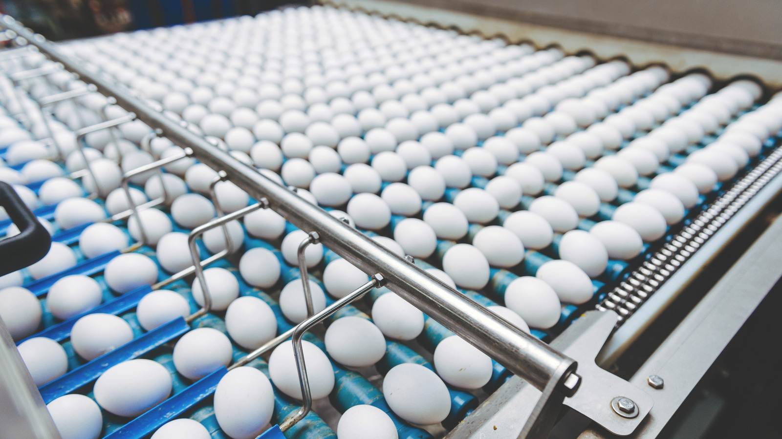 the-shady-reason-minnesota-is-suing-this-egg-producer