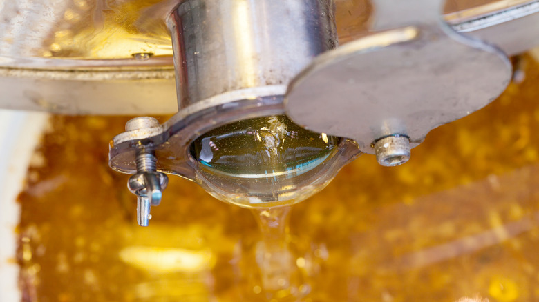 honey processing machine