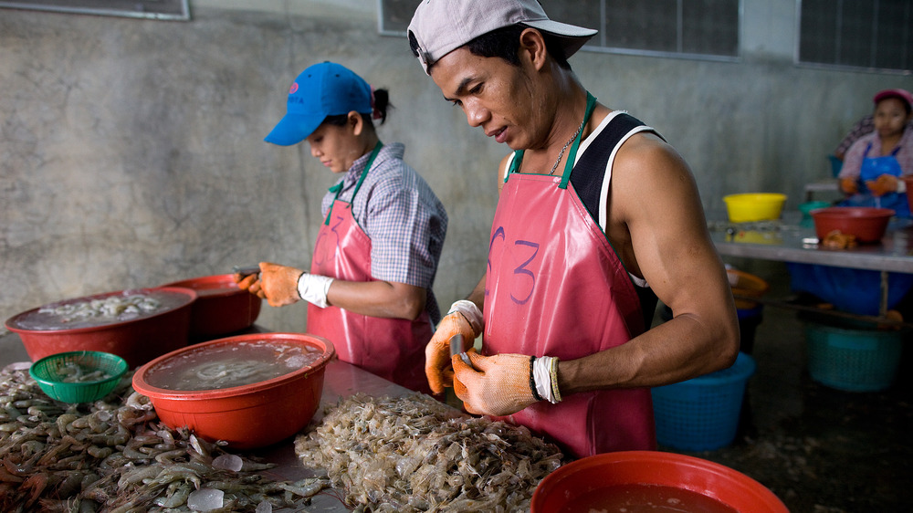 burmese shrimp peelers in thailand