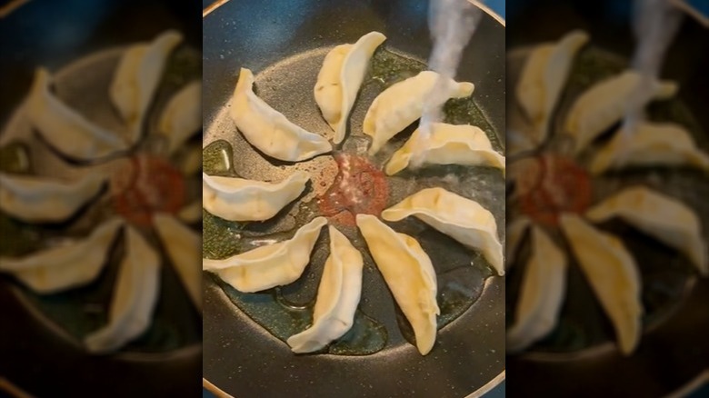 Potstickers Cooking