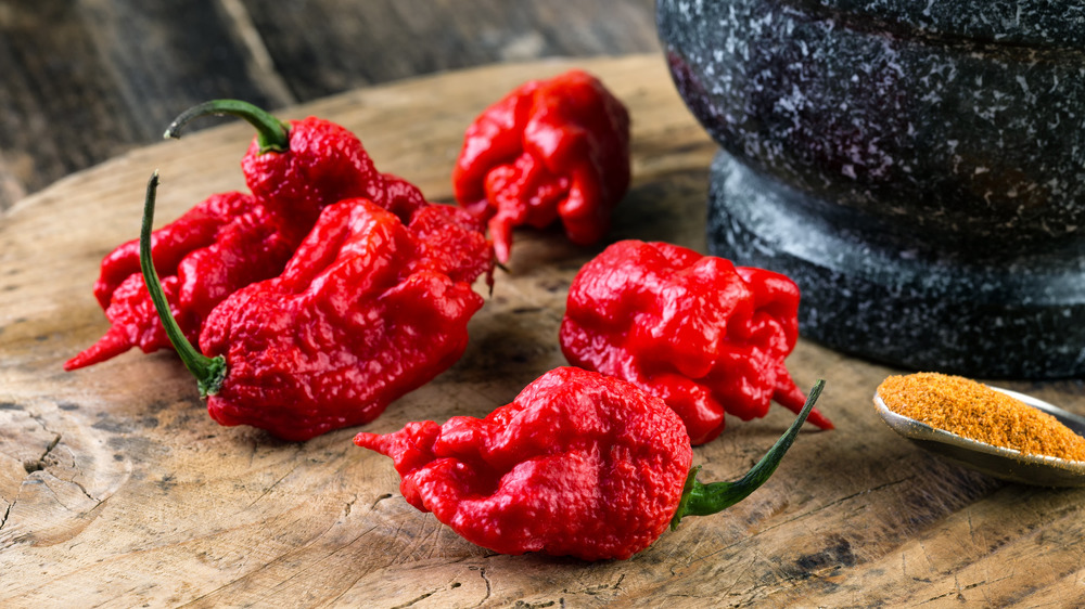 spicy Carolina Reaper