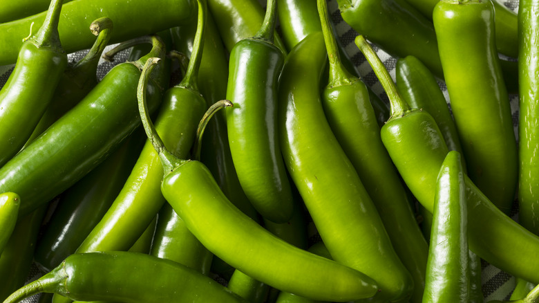 Assortment of fresh serrano peppers