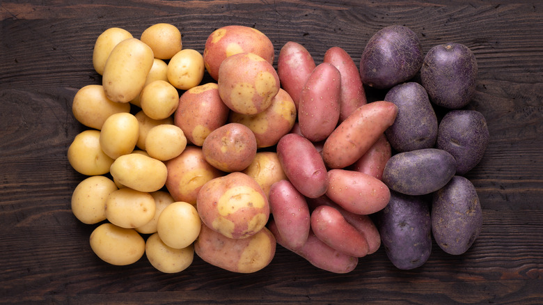 Four potato varieties on wooden background 