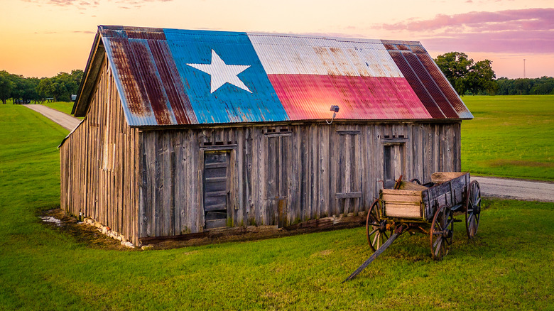 Texas flag painted on roof