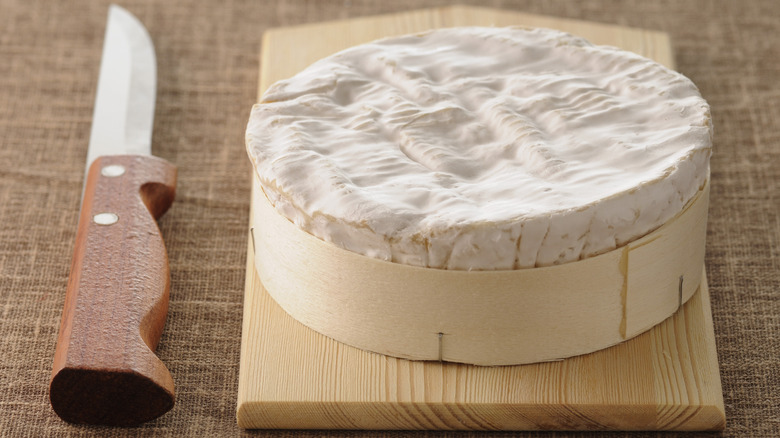 wheel of bloomy rind camembert